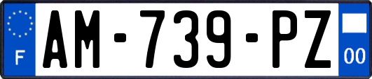 AM-739-PZ