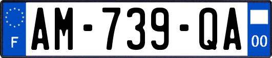 AM-739-QA