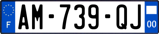 AM-739-QJ