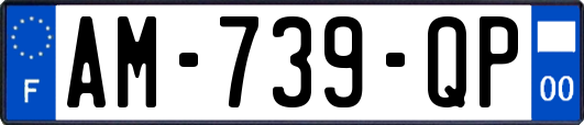 AM-739-QP
