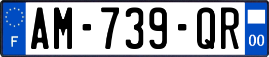 AM-739-QR