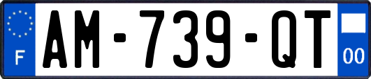 AM-739-QT