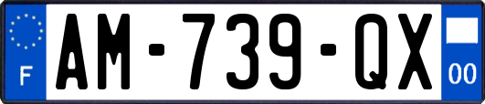 AM-739-QX