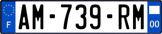 AM-739-RM