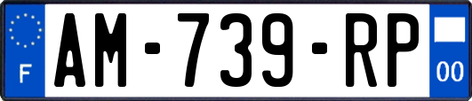 AM-739-RP