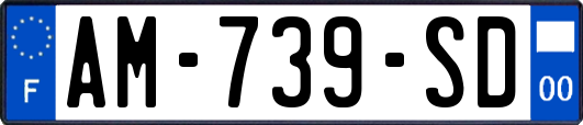 AM-739-SD