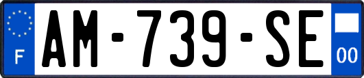 AM-739-SE