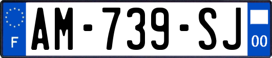 AM-739-SJ