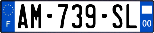 AM-739-SL