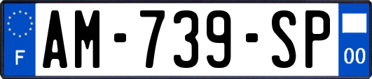 AM-739-SP