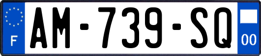 AM-739-SQ