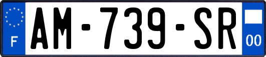 AM-739-SR