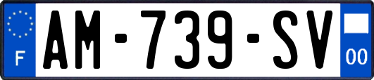 AM-739-SV