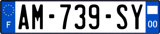AM-739-SY