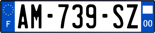 AM-739-SZ