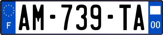 AM-739-TA