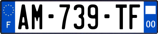 AM-739-TF