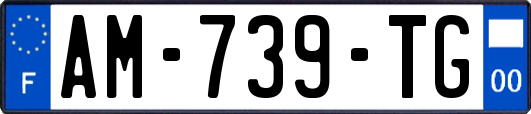 AM-739-TG