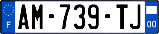 AM-739-TJ