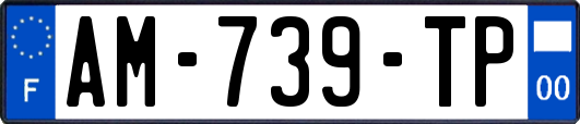 AM-739-TP