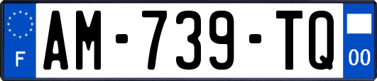 AM-739-TQ