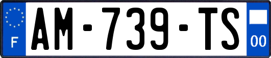 AM-739-TS