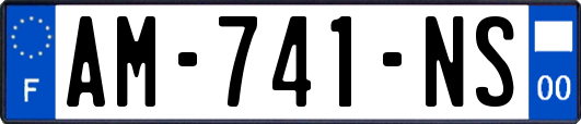 AM-741-NS