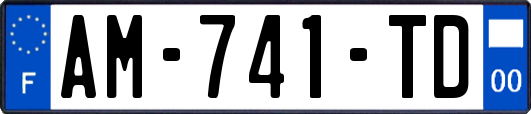 AM-741-TD