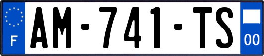 AM-741-TS