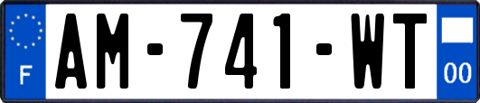 AM-741-WT