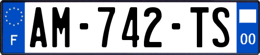 AM-742-TS
