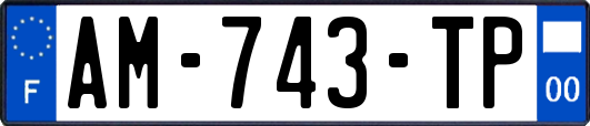AM-743-TP