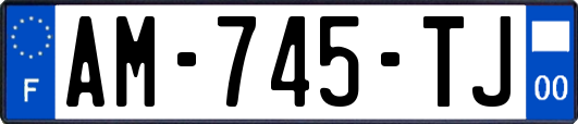 AM-745-TJ