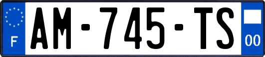 AM-745-TS