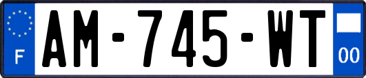 AM-745-WT