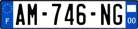 AM-746-NG