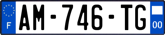 AM-746-TG