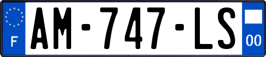 AM-747-LS