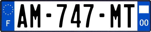 AM-747-MT