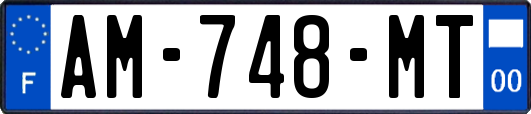 AM-748-MT