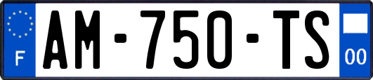 AM-750-TS