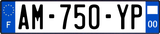 AM-750-YP