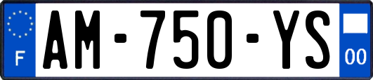 AM-750-YS