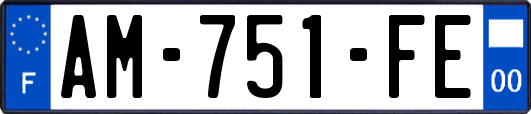 AM-751-FE