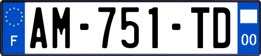 AM-751-TD