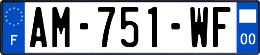 AM-751-WF