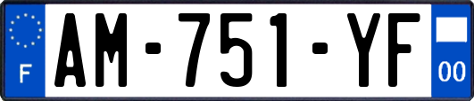 AM-751-YF