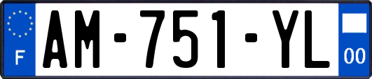 AM-751-YL