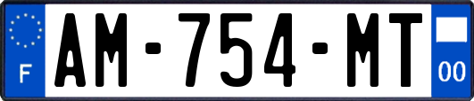 AM-754-MT