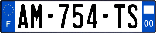 AM-754-TS